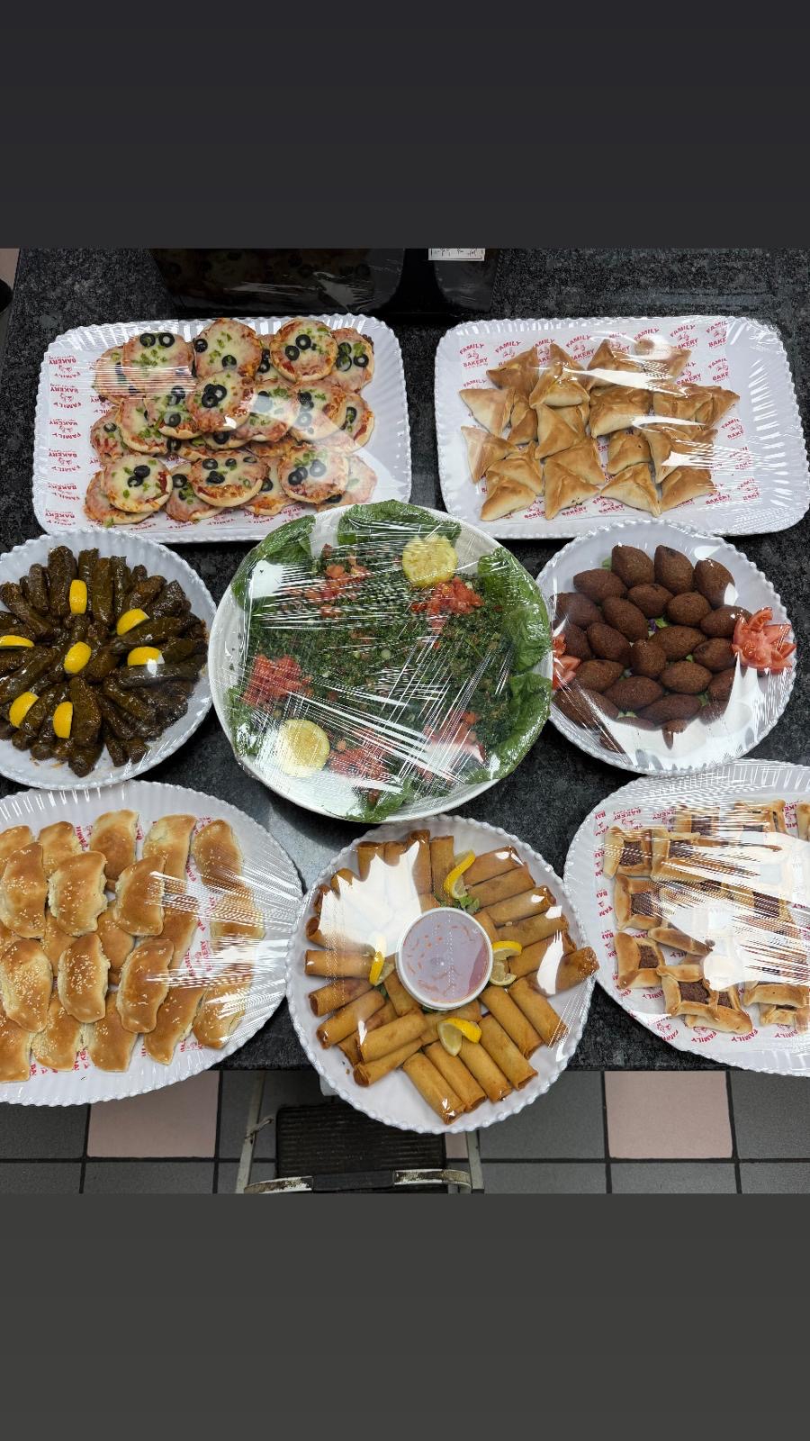 Catering platter — kibbeh, sambousek, spring rolls